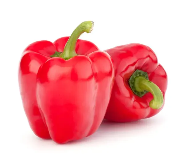 Capsicum