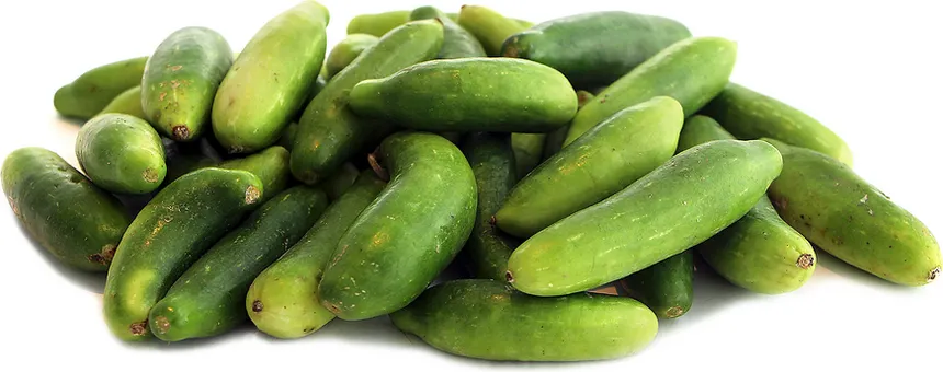 Dondakaya
