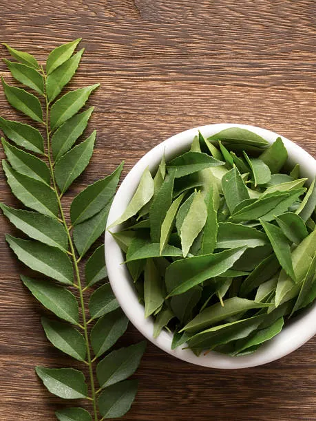 Curry Leaf