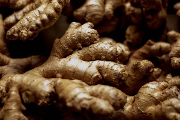 Ginger(Old)