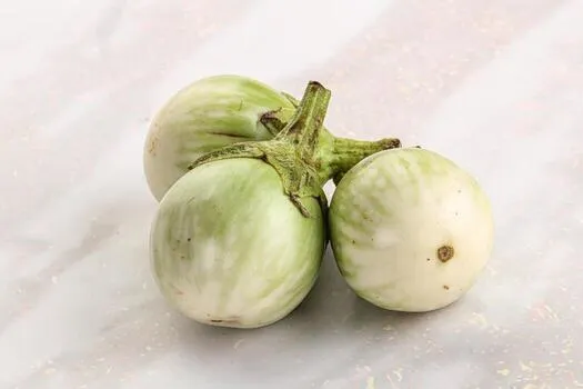 White Brinjal